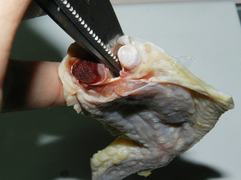 �ƽ��ݲ˼��᷹������