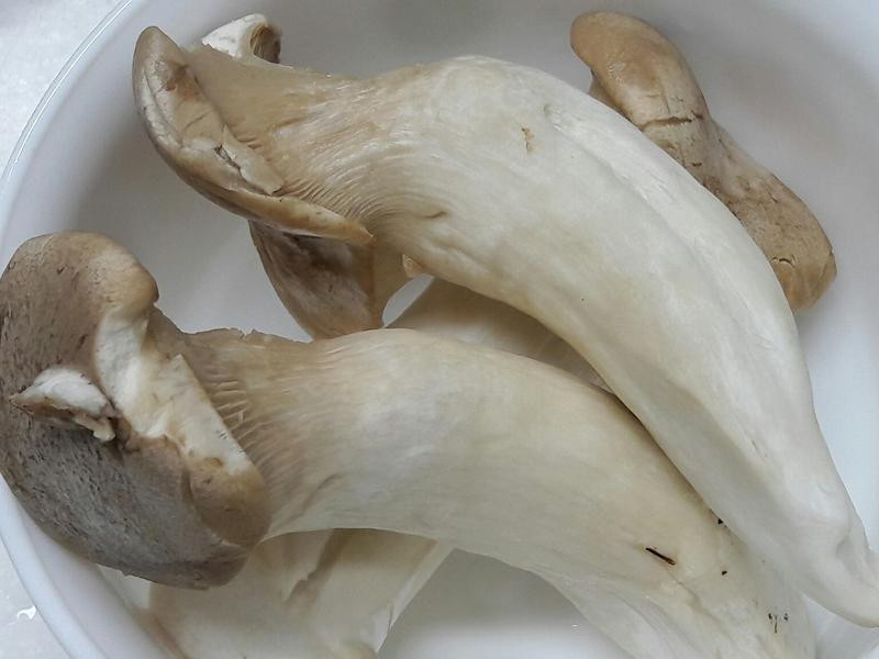 ���h��������ެ���ӱ���������