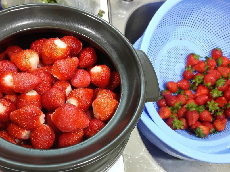 �����ݮ����������