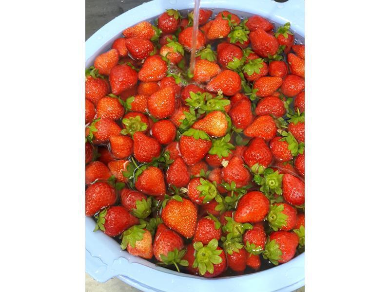 �����ݮ����������