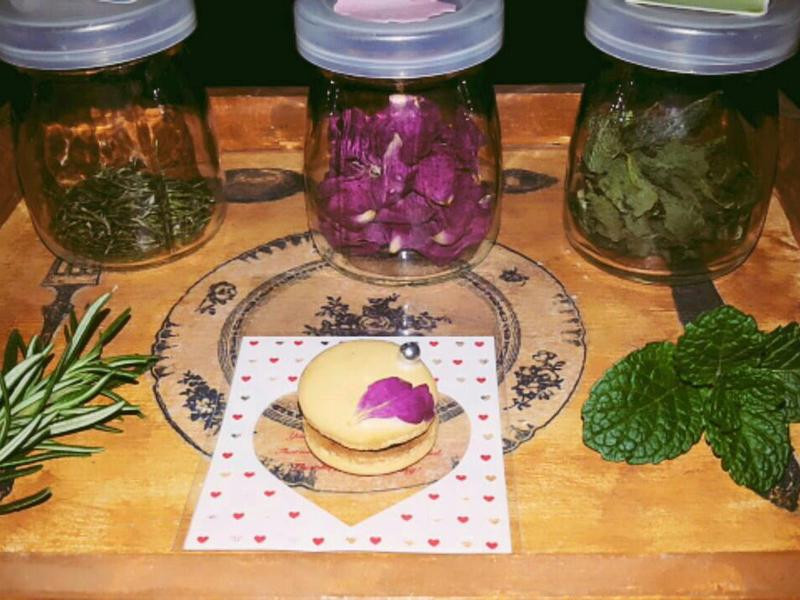 ������ݻ�������