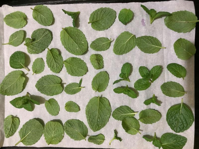 ������ݻ�������