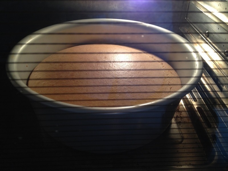 ��ԭ�̵��⡫ţͷ�ƶ������������