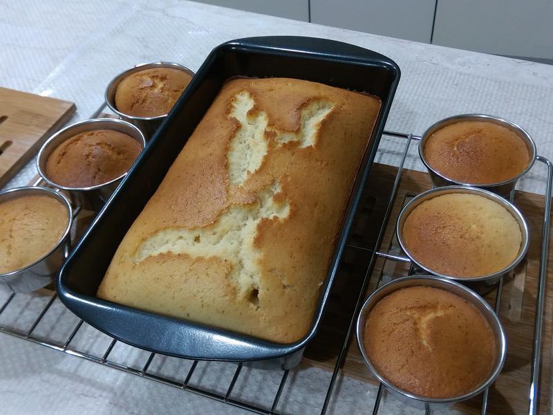 ţ�̼����������