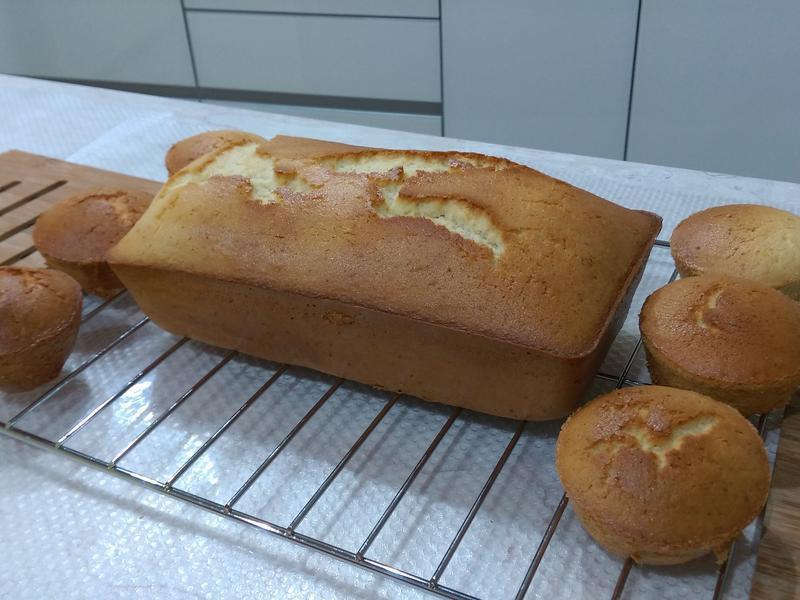 ţ�̼����������