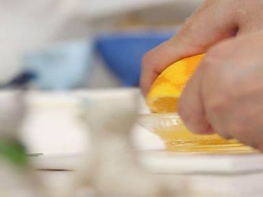 ʿ��ơ��ѩ�������