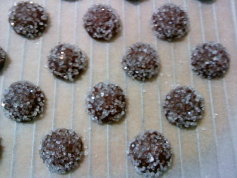 �ɿ������������