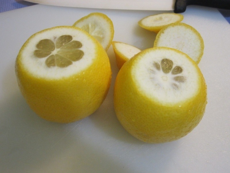 �߸���ͳ��������֭������