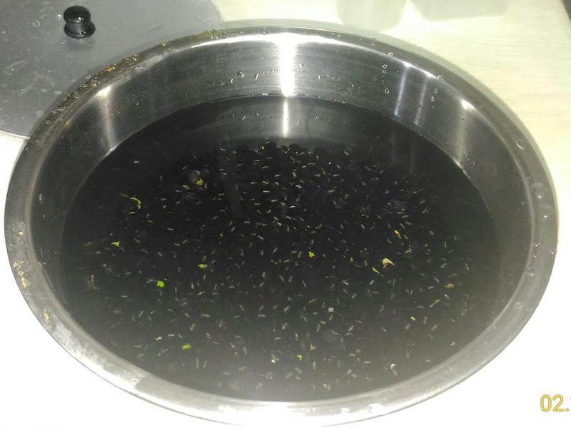 ��֭�ڶ�������