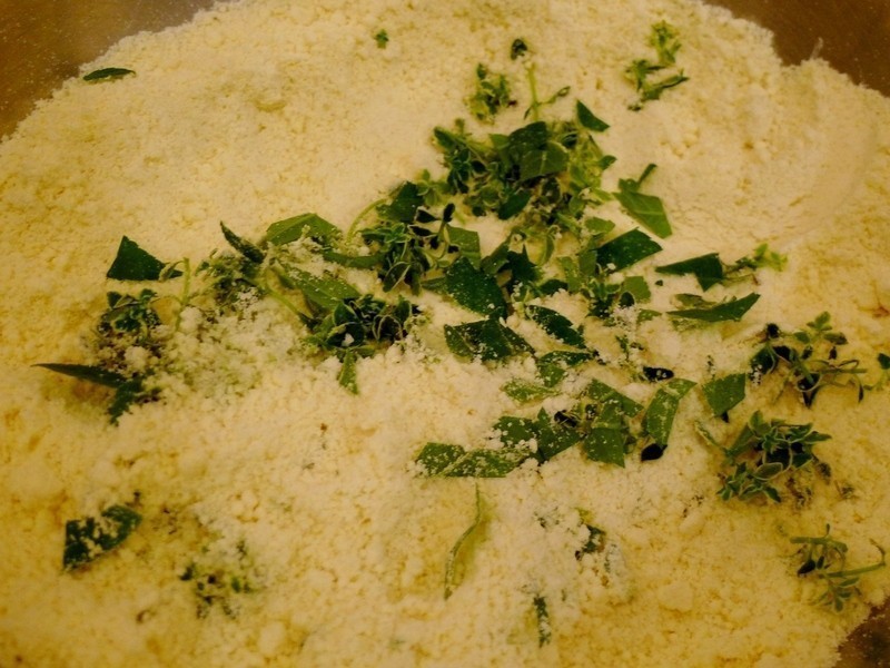 ��ݿ���������