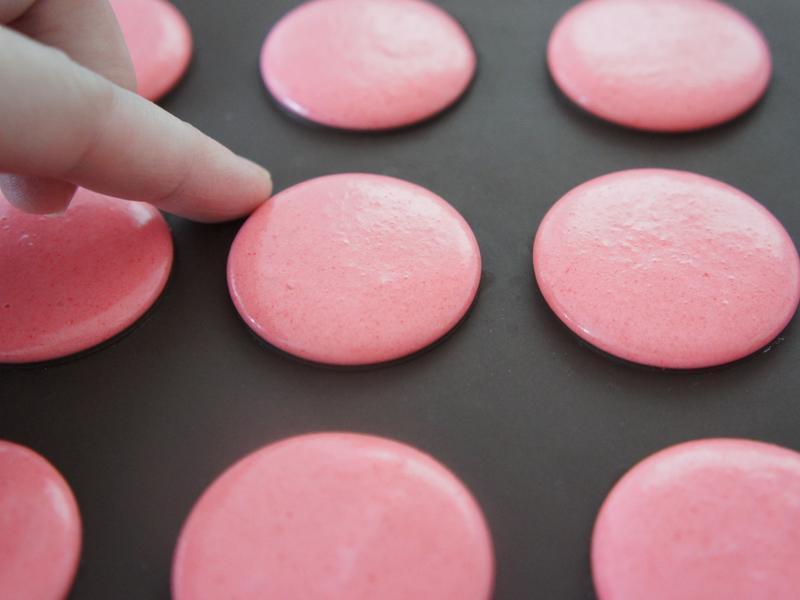 ��ݮ����������������