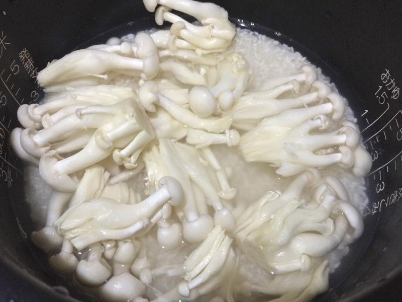 ���ȴ���������