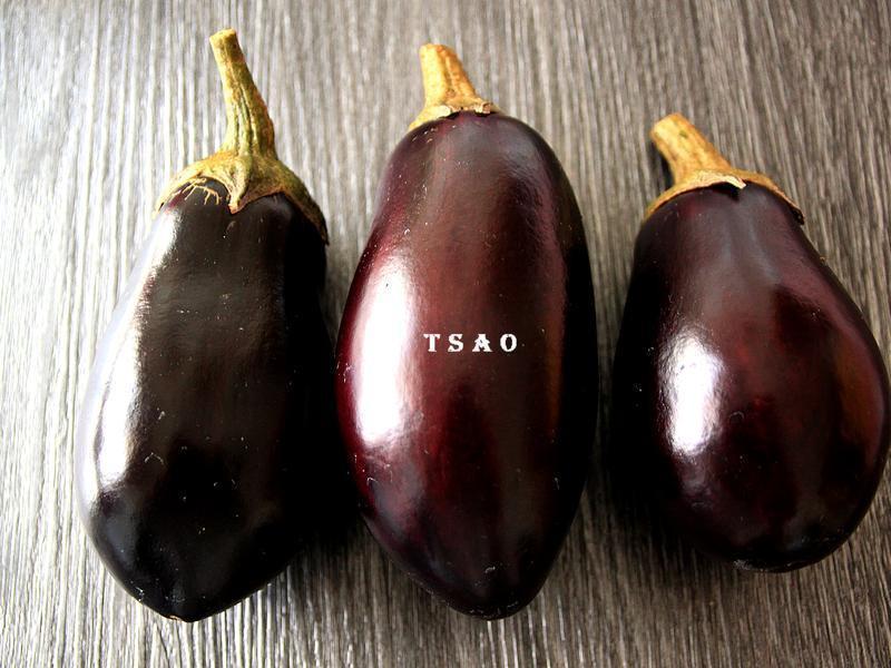 ζ�῾Բ�ѵ�����