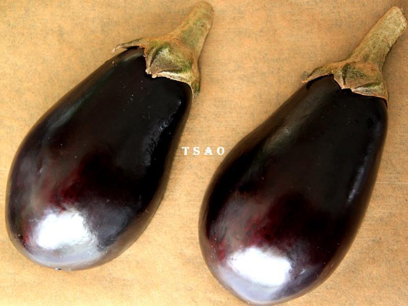 ζ�῾Բ�ѵ�����