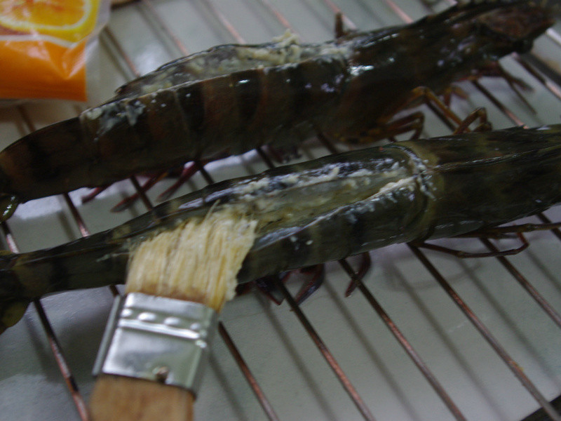 ������~�h������Ϻ������