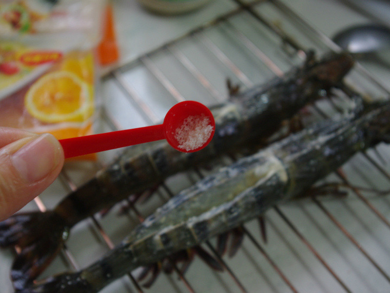 ������~�h������Ϻ������