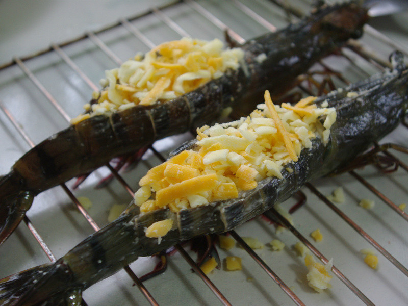 ������~�h������Ϻ������