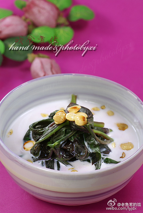 ̤���Ұ�ˡ�������챳�˵�����