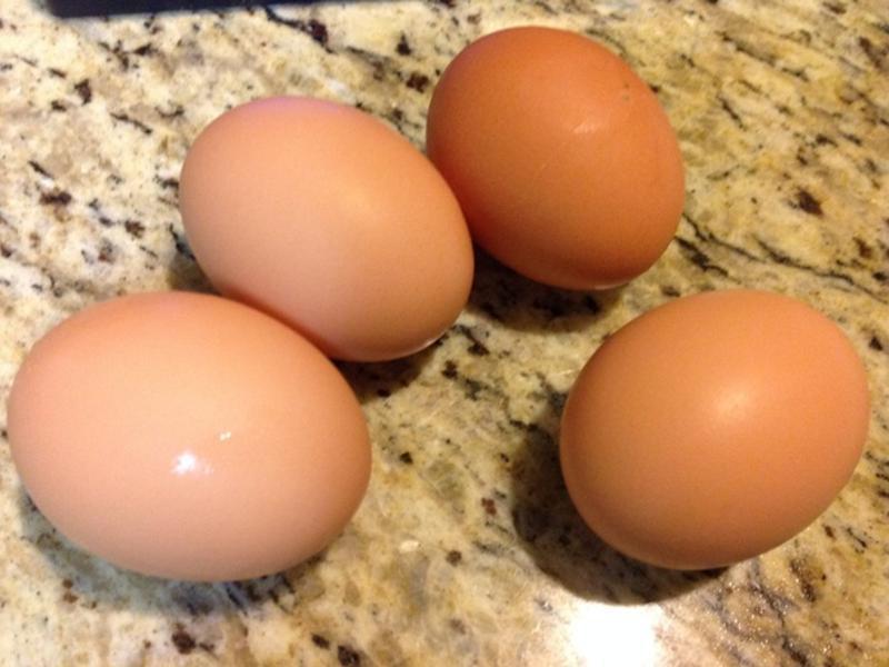 ���ۼ��ۺ춹ͭ����?!!!������