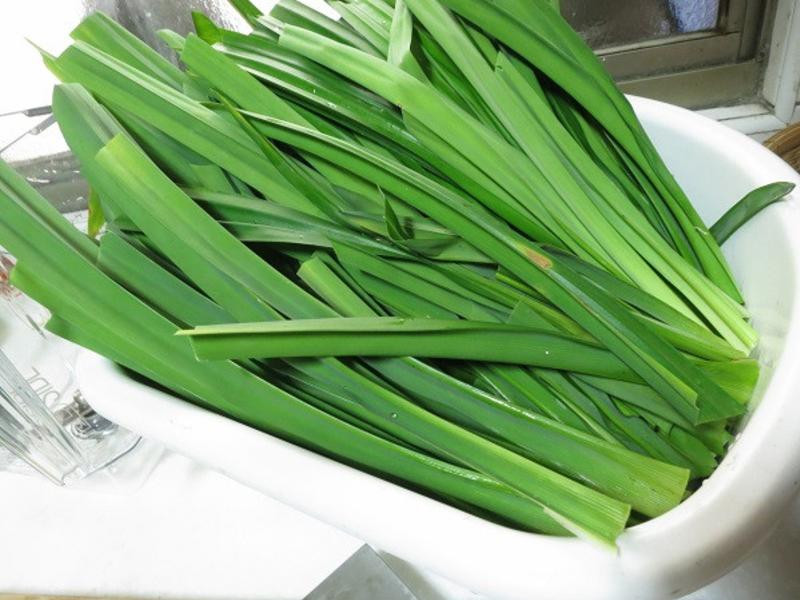 ����Ҭ˿��������