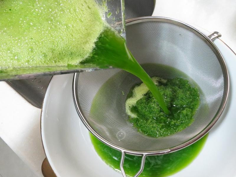 ����Ҭ˿��������