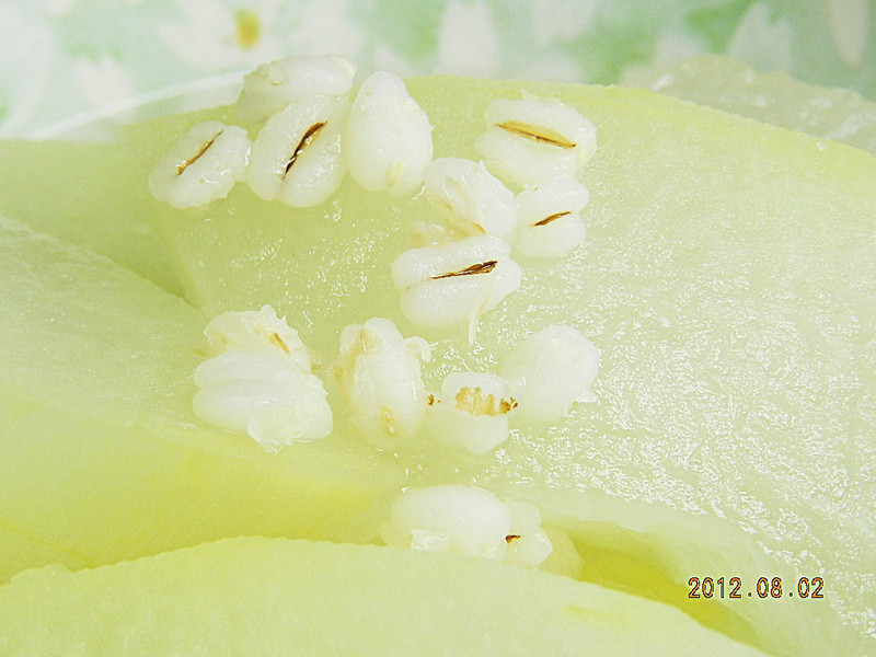 ����޲����������