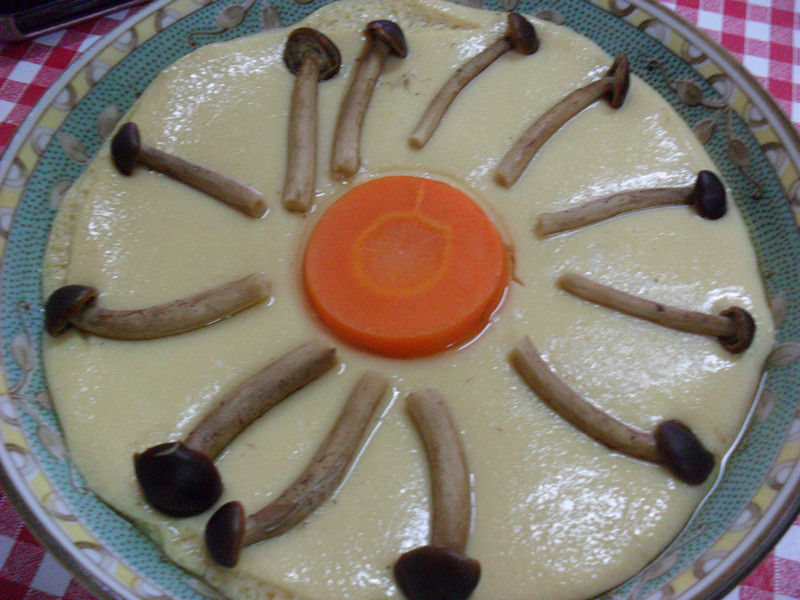 ��¶��̫����������