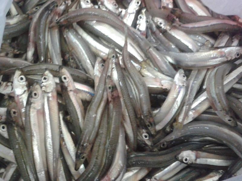 ��ը����[��ζС��]������