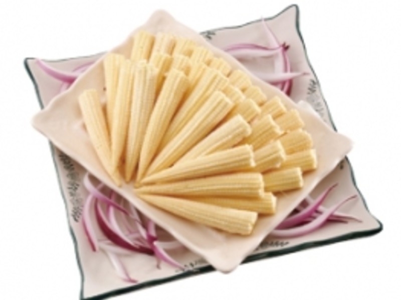 �����������������