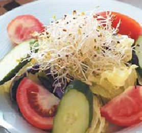 ʲ���߲�ɳ��������֭������