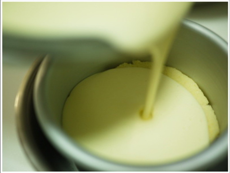 â��cheeseĽ˼���������