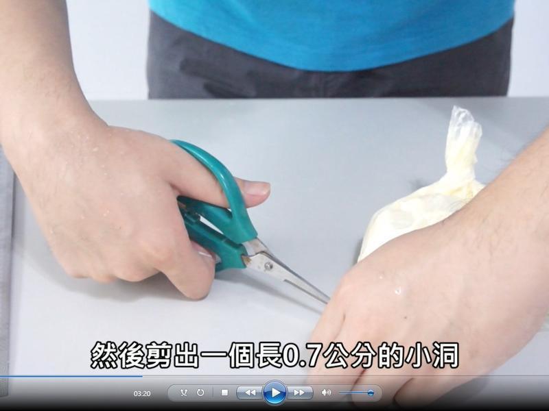 ��ʽ������Ľ˹������