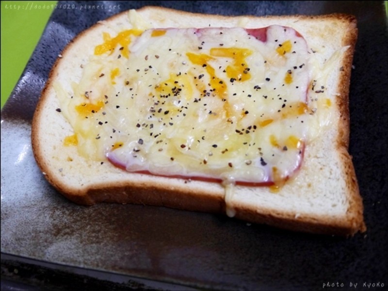 ����ݮ�Ͱ�ӥ�����̡��h����˾������