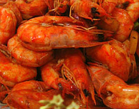 ơ��Ϻ������