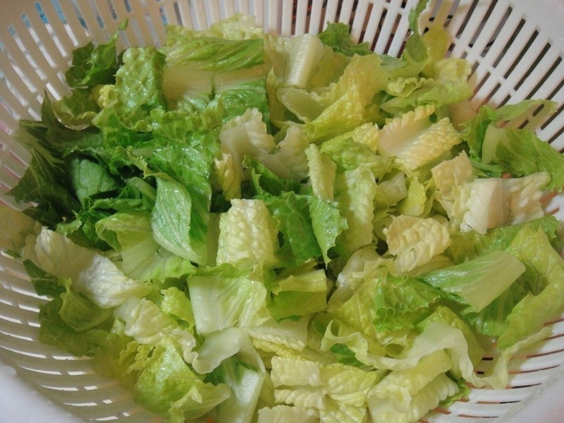 ������ˬ��������ɳ��������