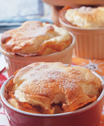 ��ܽ�ٿ�����������