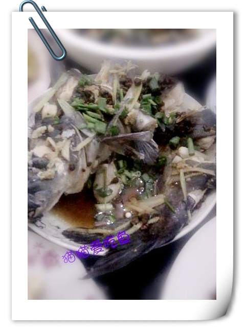 ������ǯ�������