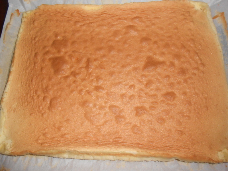 ���פ��㽶�̶���������