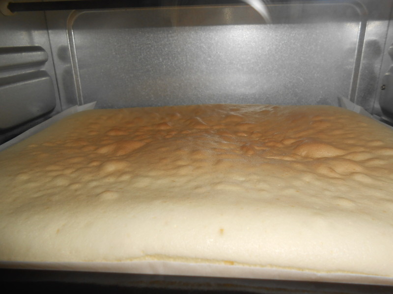 ���פ��㽶�̶���������