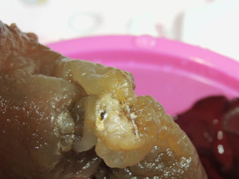 ���Ǻ�ľ��������������