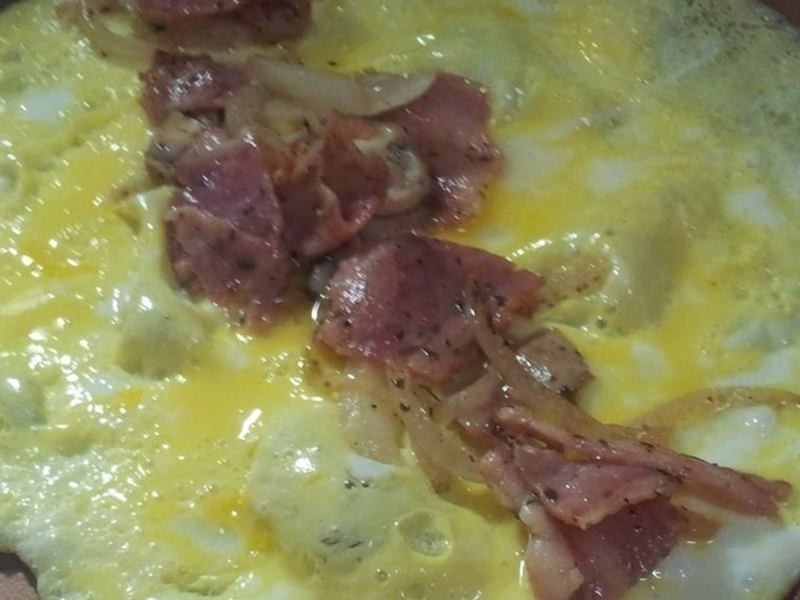 �����������������