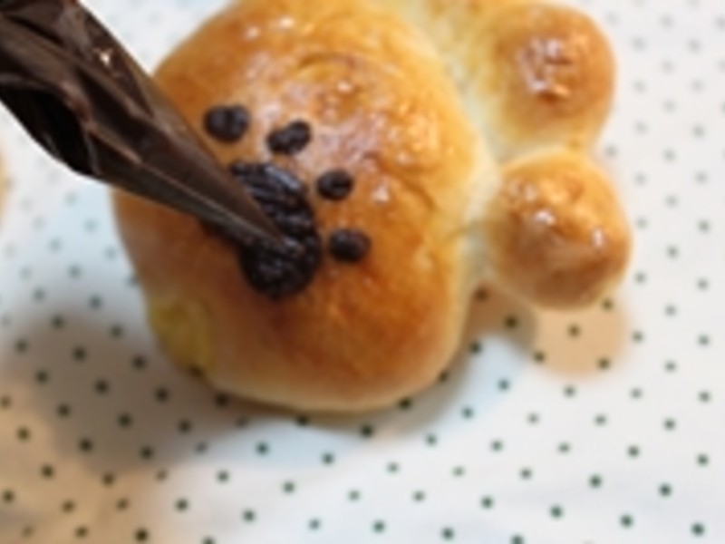 ����ʿ�����������