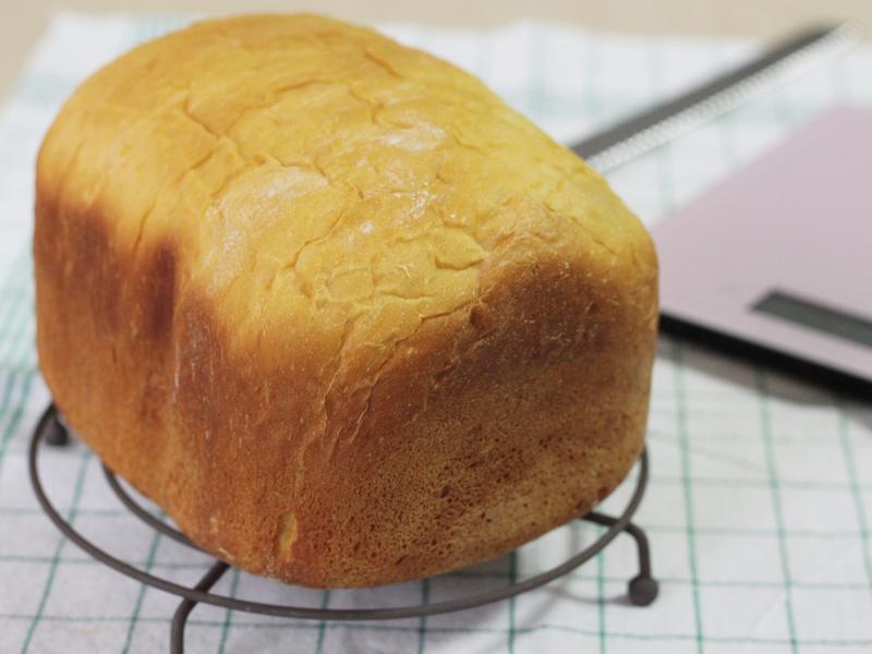 �Ϲ���Խݮ������������������������