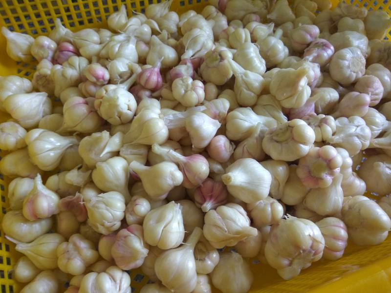 �����Ǵ��������