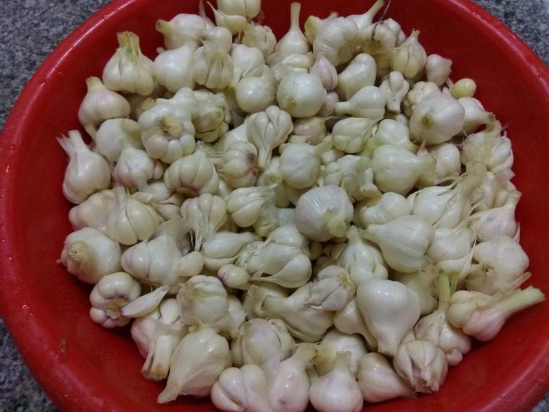 �����Ǵ��������