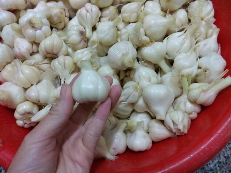 �����Ǵ��������