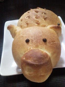 ¶¯Îï¿¨Í¨Ãæ°üµÄ×ö·¨