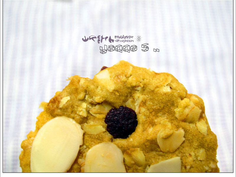 ��Ĩ�����󱡱�***Aster fun����]������