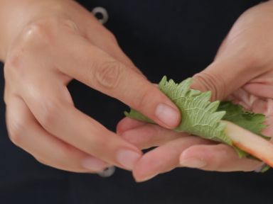 ѩз���츾�޵�����