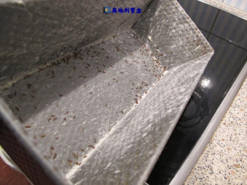 [�ⷢ��] ���Һ������������